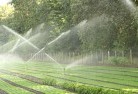 Sanctuary Pointlandscaping-water-management-and-drainage-17.jpg; ?>