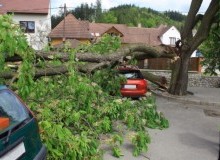 Kwikfynd Tree Cutting Services
sanctuarypoint
